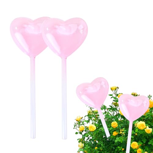 2er-Pack Bewässerungskugeln aus Glas für Pflanzen, Selbstbewässernde Glühbirnen, Transparentes Herz, Selbstbewässernde Spikes, Selbstbewässernder Pflanzgefäßeinsatz für Den Urlaub mit(Rosa) von KWQBHW