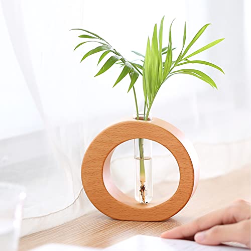 KWQBHW Reagenzglas-Vase mit Holzständer, 1 x Glas-Pflanzgefäß, Anzuchtstation, transparente Röhre, Blumenvase, Schreibtisch-Pflanzen-Terrarium-Glasvase für Büro, Heimdekoration von KWQBHW