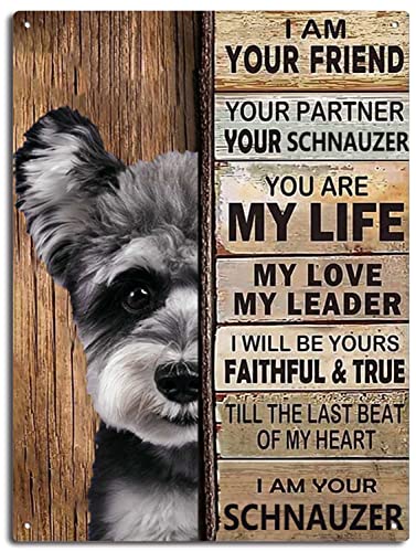 xitangyouyu Schnauzer-Hundeposter „I‘m Your Friend, Metallblechschild für Zuhause, Café, Garten, Schlafzimmer, 20,3 x 30,5 cm xitangyouyu Schnauzer-Hundeposter „I‘m Your Friend, Metallblechschild für Zuhause, Café, Garten, Schlafzimmer, 20,3 x 30,5 cm von KWQDOZF