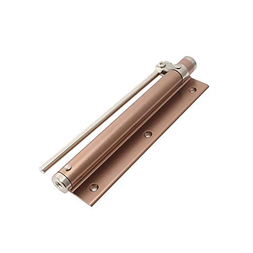 Automatischer Aluminium-Türschließer, Türschließer, Lärm reduzieren, Kollisionen reduzieren. Maximal belastbare Türschließer mit 35 kg Tragkraft.(Champagne) von KXAOXGRC