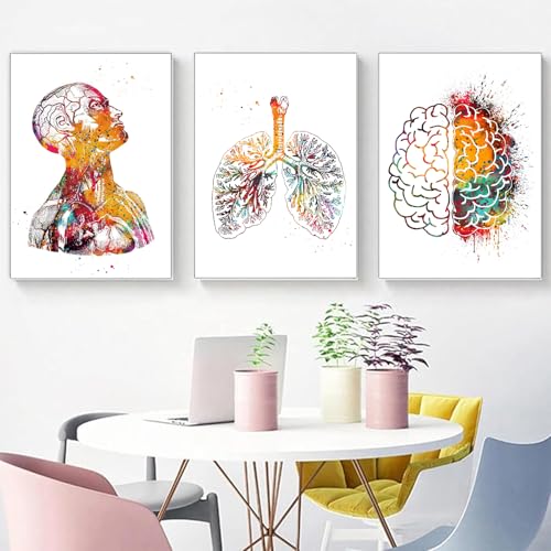 Anatomie 3er-Set - Herz, Gehirn, Menschliche Anatomie Poster für Krankenhaus und Klinik - Wandkunst Medizin Bilder Ohne Rahmen (C, 30x40cm*3) von KXHHYB