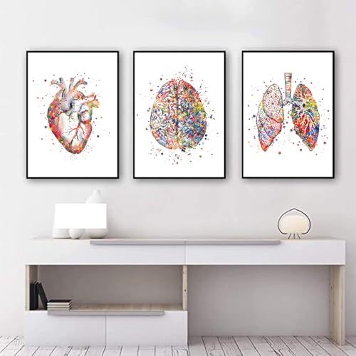 Anatomie Poster 3er-Set,Herz Gehirn Menschliche Anatomie Poster Krankenhaus Klinik Wandkunst Poster Medizin Wand Bilder-ohne Rahmen (A,30x40cm*3) von KXHHYB