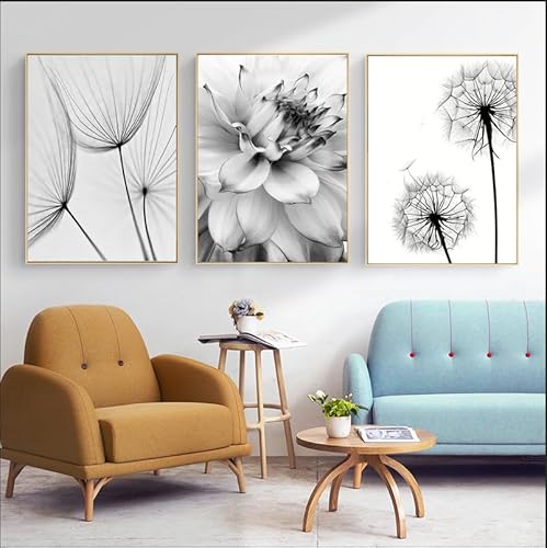 KXHHYB Schwarz Weiß Pusteblume Leinwand 3-teiliges Premium Poster Set Aesthetic Blume Wohnzimmer Schlafzimmer Wanddeko Art ohne Rahmen (B,30x40cm*3) von KXHHYB