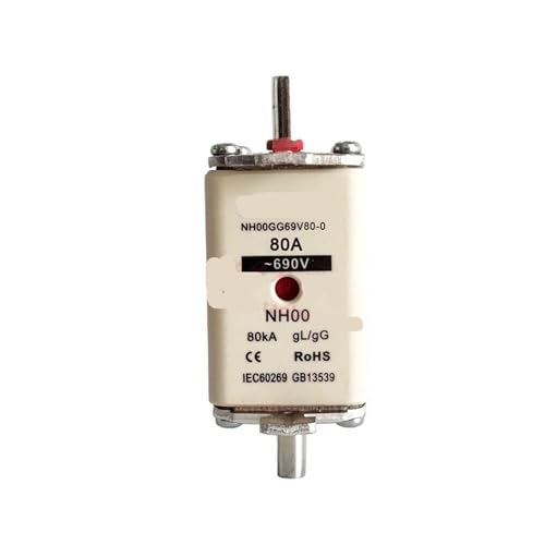 Sicherung NH00GG69V80/100-1 690V NH00 80A 100A von KXIWLUFV