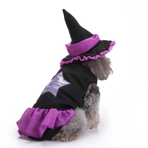 Halloween-Kostüm, Hundekostüm, lustiges Zauberer-Set für Schnauzer-Beagles, Französische Bulldogge, Mini-Pincher, Größe M von KXWDKJ