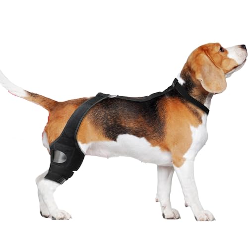KXWDKJ Kniebandage für Hunde Hunde Hüftbandage zur Unterstützung der Kniegelenke und entlastet Druck (L) von KXWDKJ