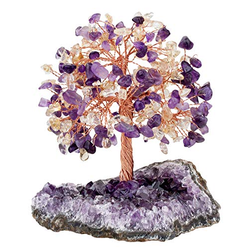 KYEYGWO Amethyst & Citrine Reiki Heilung Kristallbaum auf Natürlichen Amethyst Drusensegment Rohstück Base, Stein Geldbaum Feng Shui Bonsai Baum Figuren Ornament Haus Deko für Glück, Reichtum von KYEYGWO