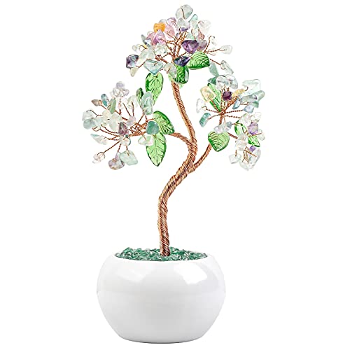 KYEYGWO FluoriteReiki Heilung Kristallbaum auf Trommelsteine Keramikvase Base, Edelstein Geldbaum Feng Shui Bonsai Baum Handmade Stein Ornament für Glück Reichtum Haus Deko von KYEYGWO