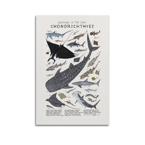 KYTIN Vintage Natural Organism Poster Creatures of the Class Chondrichthyes, dekoratives Gemälde, Leinwand, 40 x 60 cm von KYTIN