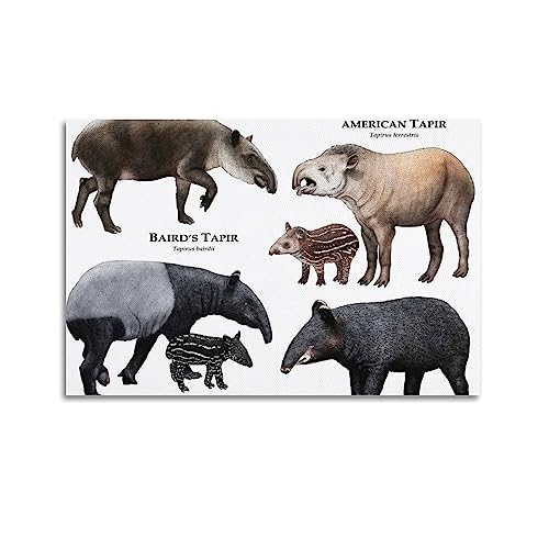 KYTIN Vintage Tier Poster Tapirs Collection Dekorative Malerei Leinwand 30 x 45 cm von KYTIN