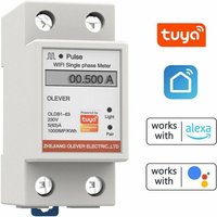 KZQ - Tuya WiFi Smart Meter zur Energiemessung – Einphasenzähler – Steuerung über mobile App – Anzeige von Spannung, Strom, Wirkleistung und von KZQ