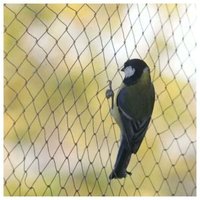Vogelschutznetz, Maschenweite 【1,51,5 cm】 10 m 5 m, Vogelschutznetz, starkes Gartenteich-Schutznetz für Obst, Gemüse Vogelschutznetz, Maschenweite 【1,51,5 cm】 10 m 5 m, Vogelschutznetz, starkes Gartenteich-Schutznetz für Obst, Gemüse von KZQ