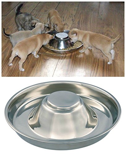 Kabalo Stainless Steel Puppy,Cat, Dog, Pet, Litter Food Feeding & Weaning Feeder Bowl by von Kabalo