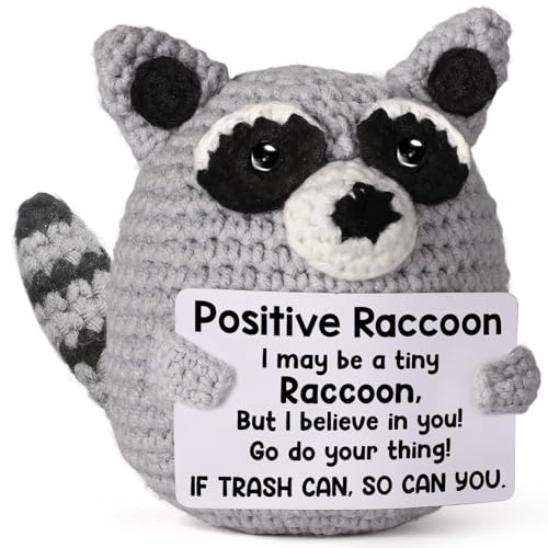 Kabwea 1 Handgestrickter Plüschwaschbär,Gute Besserung Geschenke,Mutmacher Geschenk, Positive Reccoon von Kabwea