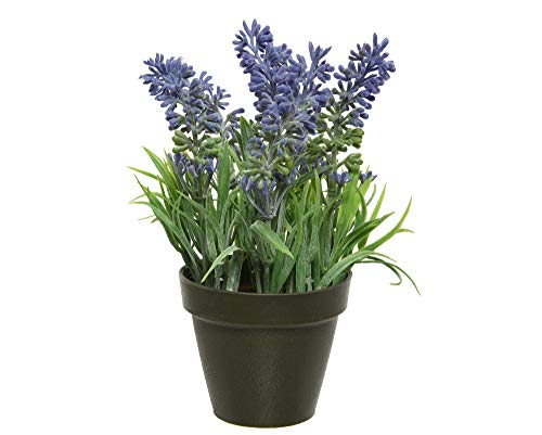 Kaemingk 804106 Kunstblume Lavendel im Topf 16 cm Kunstplanze violett - künstliche Lavendel Blume von Kaemingk