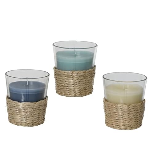 Kaemingk Citronella-Kerze - im Glas - mit Sisal - ca. Ø 7,5 x 7,5 cm - 1 Stück Kaemingk Citronella-Kerze - im Glas - mit Sisal - ca. Ø 7,5 x 7,5 cm - 1 Stück von Kaemingk