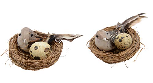 Kaemingk Feder Vogelnest am Draht 2er-Set Kaemingk Feder Vogelnest am Draht 2er-Set von Kaemingk