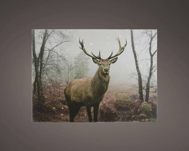 Kaemingk LED-Bild Kaemingk LED Leinwand BO Indoor 4 Lichter 80 x 58 Kaemingk LED-Bild Kaemingk LED Leinwand BO Indoor 4 Lichter 80 x 58 von Kaemingk