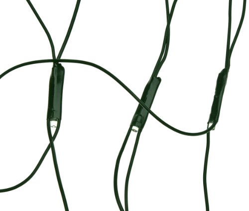 Kaemingk LED Buxbaumnetz o 80 cm, aussen, Aussentrafo, 120 warmweiße LED, grünes Kabel 494898 von Kaemingk