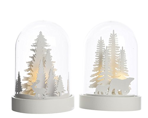 Kaemingk LED Landschaft unter Einer Glasglocke mit Eisbär oder Hirsch Stückpreis Kaemingk LED Landschaft unter Einer Glasglocke mit Eisbär oder Hirsch Stückpreis von Kaemingk