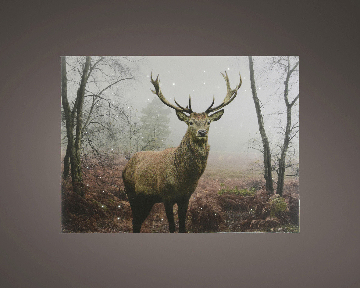 Kaemingk LED Leinwand BO Indoor 4 Lichter 80 x 58 x 78 cm Kaemingk LED Leinwand BO Indoor 4 Lichter 80 x 58 x 78 cm von Kaemingk