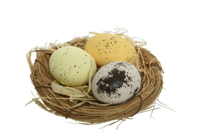 Kaemingk Osterei Osternest Rohrkolbennest Nest mit Foam Eier von Kaemingk