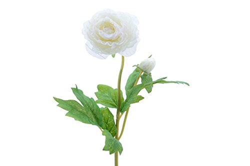 Kaemingk Seidenblume Ranunkel Blüte Kunstblume Weiß 57 cm von Kaemingk