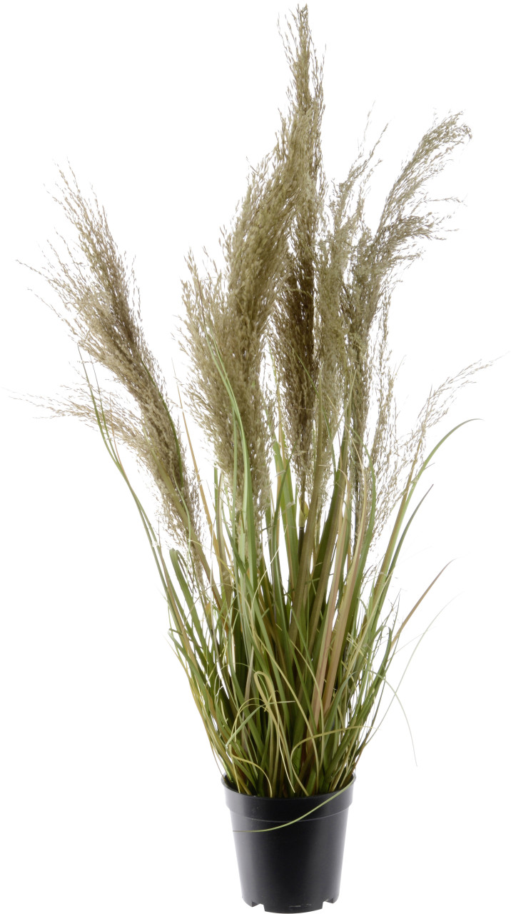 Kaemingk künstliche Graspflanze mit Federn im Topf 85 cm von Kaemingk