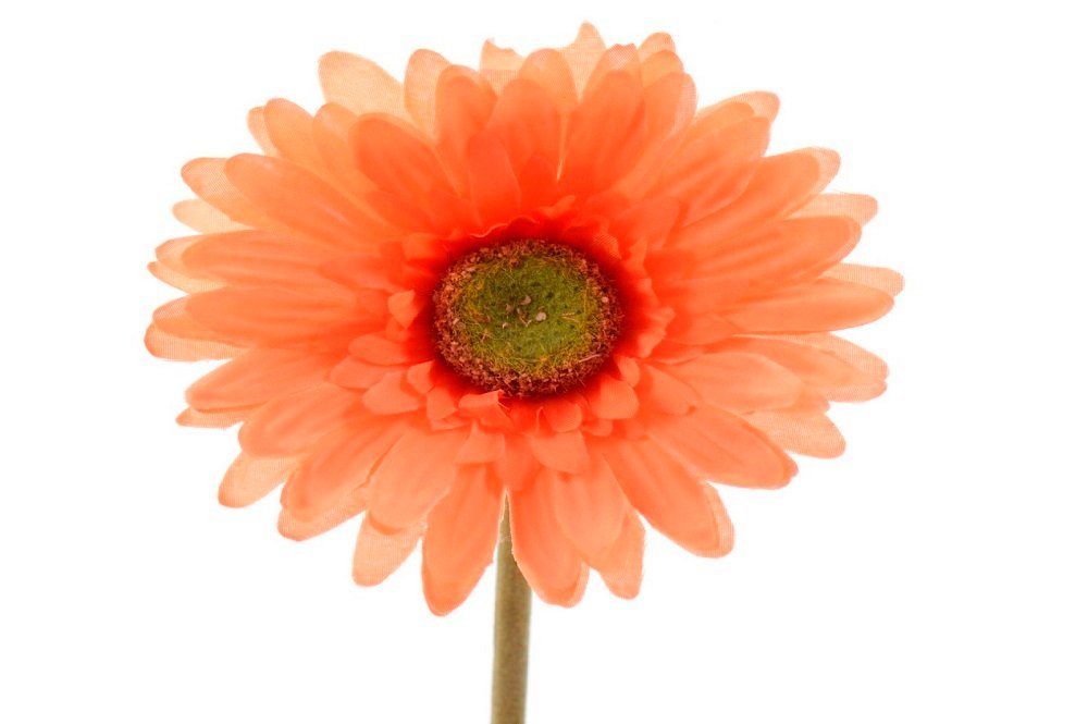 Kunstblume Blume Seidenblume Gerbera Kunstblume Dekoblume Tischdeko orange, Kaemingk von Kaemingk