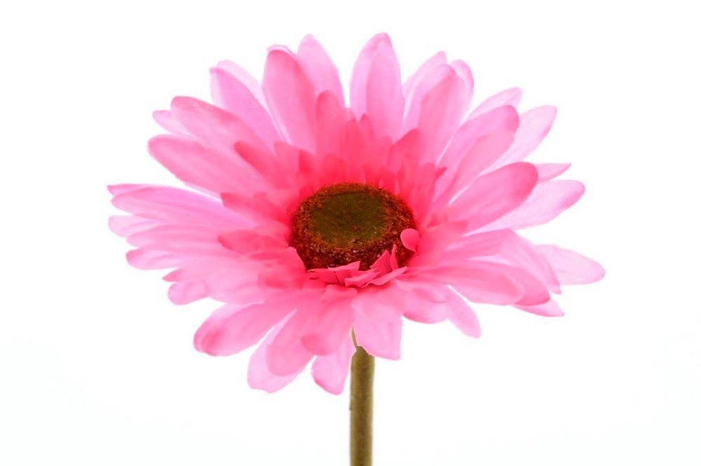Kunstblume Blume Seidenblume Gerbera Kunstblume Dekoblume Tischdeko pink, Kaemingk von Kaemingk