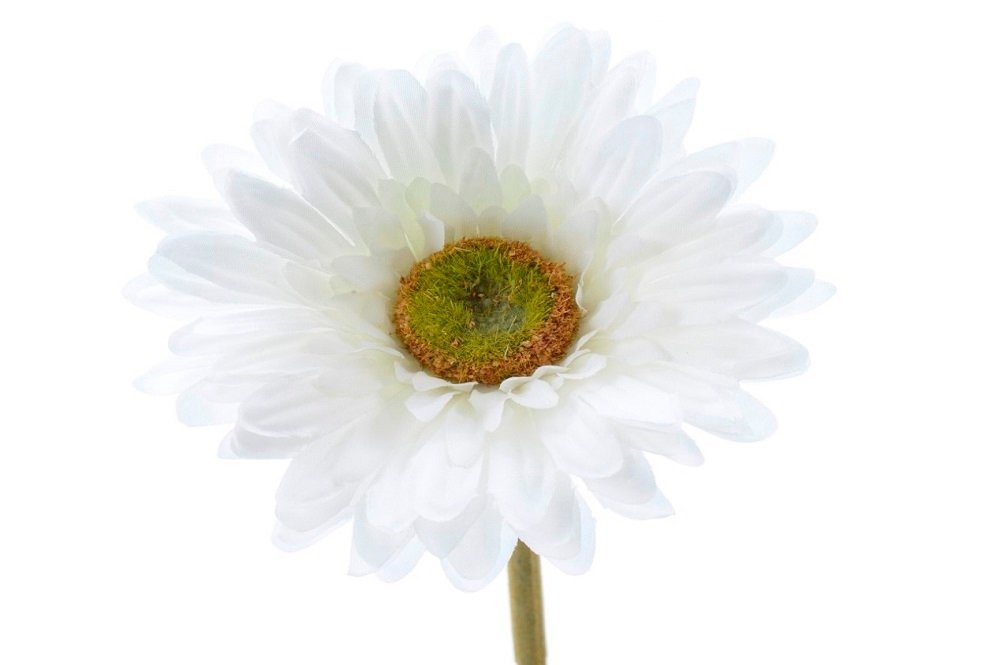 Kunstblume Blume Seidenblume Gerbera Kunstblume Dekoblume Tischdeko weiß 50 cm 3, Kaemingk von Kaemingk