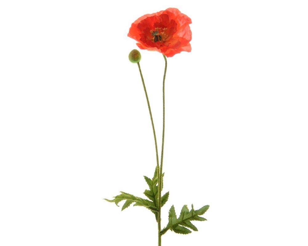 Kunstblume Blume Seidenblume Mohnblume Kunstblume Knopse rot, Kaemingk von Kaemingk