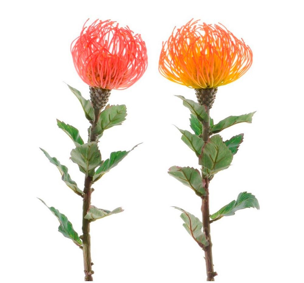 Kunstblume Kunst-Leucospermum 2-fach sortiert, Kaemingk von Kaemingk