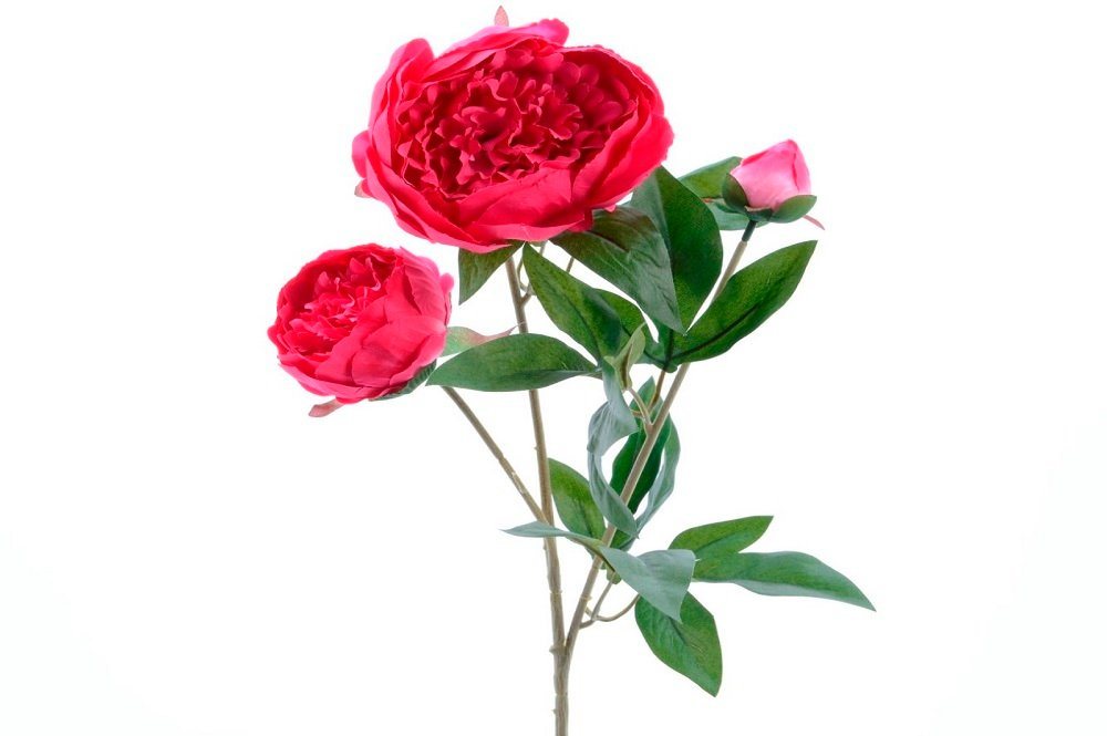 Kunstblume Seiden-Pfingstrose 3blütig rosa, Kaemingk von Kaemingk