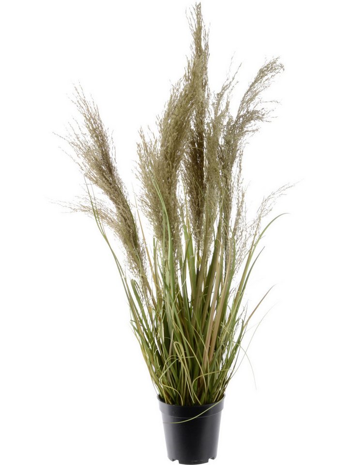 Kunstpflanze Kaemingk künstliche Graspflanze mit Federn im Topf, Kaemingk Kunstpflanze Kaemingk künstliche Graspflanze mit Federn im Topf, Kaemingk von Kaemingk