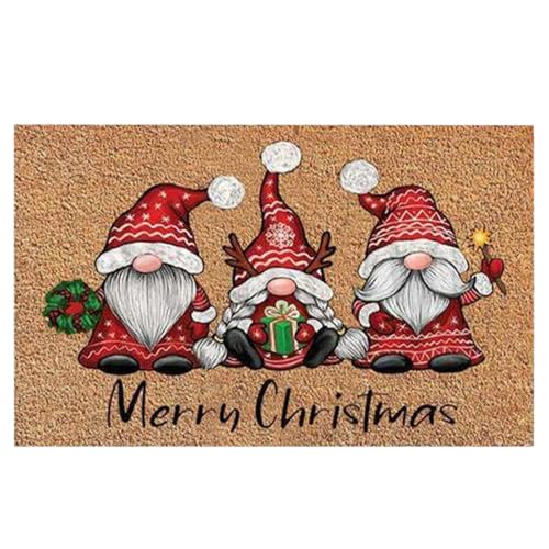 Fußmatte Weihnachten Kokos, Innen Außen Fußabtreter Weihnachtsteppich 40x60cm, Waschbar Fussmatte Weihnachten, Wichtel für Drinnen, Aufschrift Moin Kokosmatte Türvorleger (A) von Kaezuy