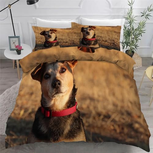 Black and Tan Terrier BettwäSche Set 200x200 cm Haustiere Bettbezug und 2 Kissenbezug 80x80 cm Weiche Flauschiger Mikrofaser 3 Teilig BettwäSche mit ReißVerschluss füR Doppelbett von KaiHeBeding