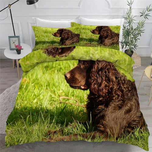 Boykin Spaniel BettwäSche Set 200x200 cm Süß Bettbezug und 2 Kissenbezug 80x80 cm Weiche Flauschiger Mikrofaser 3 Teilig BettwäSche mit ReißVerschluss füR Doppelbett von KaiHeBeding
