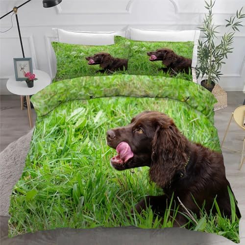 Boykin Spaniel BettwäSche Set 200x200 cm Tier Bettbezug und 2 Kissenbezug 80x80 cm Weiche Flauschiger Mikrofaser 3 Teilig BettwäSche mit ReißVerschluss füR Doppelbett von KaiHeBeding