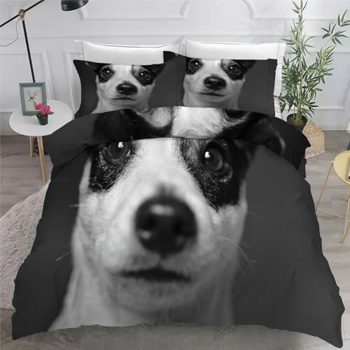 Chihuahua BettwäSche Set 200x200 cm Süß Bettbezug und 2 Kissenbezug 80x80 cm Weiche Flauschiger Mikrofaser 3 Teilig BettwäSche mit ReißVerschluss füR Doppelbett von KaiHeBeding