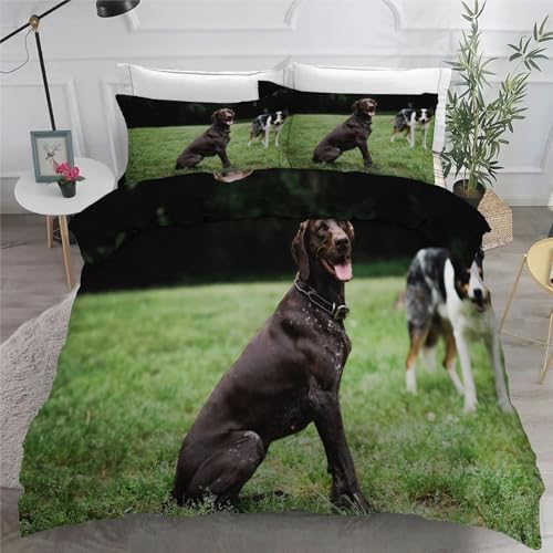 Dobermann BettwäSche Set 200x200 cm Haustiere Bettbezug und 2 Kissenbezug 80x80 cm Weiche Flauschiger Mikrofaser 3 Teilig BettwäSche mit ReißVerschluss füR Doppelbett von KaiHeBeding