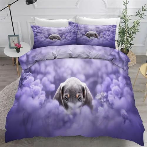 Hund BettwäSche Set 200x200 cm Lila Bettbezug und 2 Kissenbezug 80x80 cm Weiche Flauschiger Mikrofaser 3 Teilig BettwäSche mit ReißVerschluss füR Doppelbett von KaiHeBeding