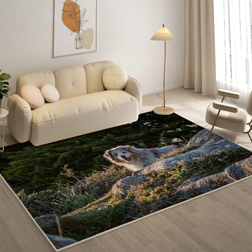 KaiHeBeding Kuscheliger Kurzflor Teppich Wohnzimmer, Australian Shepherd Anti-Rutsch Unterseite Teppich, Waschbar Bis 30 Grad, Super Soft,Pflegeleicht und Robust Felloptik, Haustiere ，160x220cm von KaiHeBeding