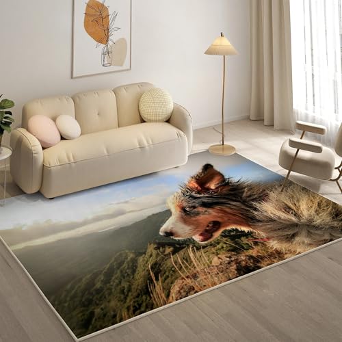 KaiHeBeding Kuscheliger Kurzflor Teppich Wohnzimmer, Australischer SchäFerhund Anti-Rutsch Unterseite Teppich, Waschbar Bis 30 Grad, Super Soft,Pflegeleicht und Robust Felloptik, Haustiere ，120x170cm von KaiHeBeding