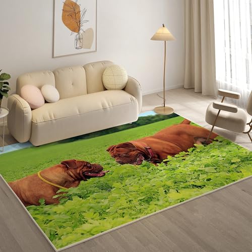 KaiHeBeding Kuscheliger Kurzflor Teppich Wohnzimmer, Bordeauxdogge Anti-Rutsch Unterseite Teppich, Waschbar Bis 30 Grad, Super Soft,Pflegeleicht und Robust Felloptik, Haustiere ,140x200cm KaiHeBeding Kuscheliger Kurzflor Teppich Wohnzimmer, Bordeauxdogge Anti-Rutsch Unterseite Teppich, Waschbar Bis 30 Grad, Super Soft,Pflegeleicht und Robust Felloptik, Haustiere ,140x200cm von KaiHeBeding