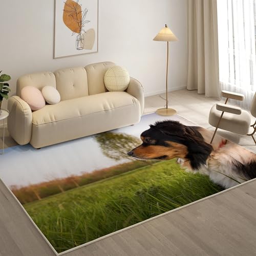 KaiHeBeding Kuscheliger Kurzflor Teppich Wohnzimmer, Border Collie Anti-Rutsch Unterseite Teppich, Waschbar Bis 30 Grad, Super Soft,Pflegeleicht und Robust Felloptik, Haustiere ，120x160cm von KaiHeBeding