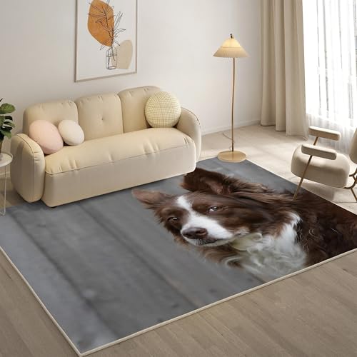 KaiHeBeding Kuscheliger Kurzflor Teppich Wohnzimmer, Border Collie Anti-Rutsch Unterseite Teppich, Waschbar Bis 30 Grad, Super Soft,Pflegeleicht und Robust Felloptik, Tier ,120x160cm KaiHeBeding Kuscheliger Kurzflor Teppich Wohnzimmer, Border Collie Anti-Rutsch Unterseite Teppich, Waschbar Bis 30 Grad, Super Soft,Pflegeleicht und Robust Felloptik, Tier ,120x160cm von KaiHeBeding