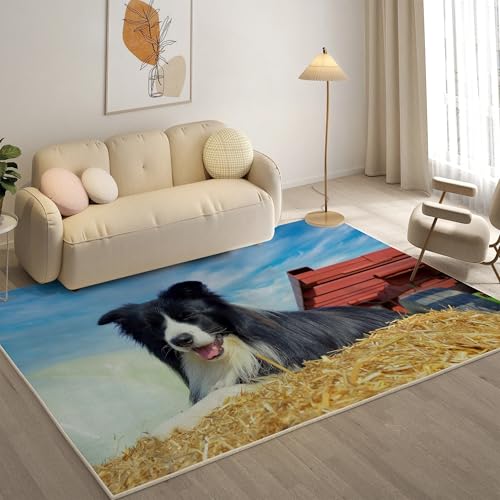 KaiHeBeding Kuscheliger Kurzflor Teppich Wohnzimmer, Border Collie Anti-Rutsch Unterseite Teppich, Waschbar Bis 30 Grad, Super Soft,Pflegeleicht und Robust Felloptik, Tier ，160x230cm von KaiHeBeding