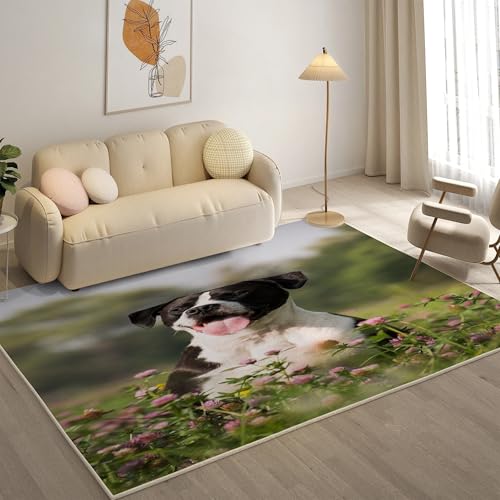 KaiHeBeding Kuscheliger Kurzflor Teppich Wohnzimmer, Boston Terrier Anti-Rutsch Unterseite Teppich, Waschbar Bis 30 Grad, Super Soft,Pflegeleicht und Robust Felloptik, Haustiere ，160x230cm von KaiHeBeding