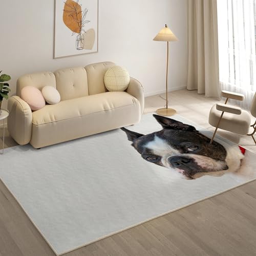 KaiHeBeding Kuscheliger Kurzflor Teppich Wohnzimmer, Boston Terrier Anti-Rutsch Unterseite Teppich, Waschbar Bis 30 Grad, Super Soft,Pflegeleicht und Robust Felloptik, Tier ,160x230cm KaiHeBeding Kuscheliger Kurzflor Teppich Wohnzimmer, Boston Terrier Anti-Rutsch Unterseite Teppich, Waschbar Bis 30 Grad, Super Soft,Pflegeleicht und Robust Felloptik, Tier ,160x230cm von KaiHeBeding